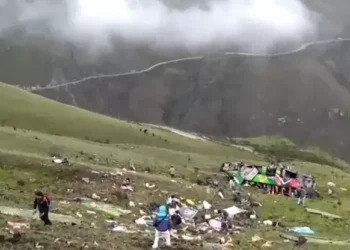 Peru Amazonları’nda Biyolojik Keşif: 27 Yeni Tür Keşfedildi