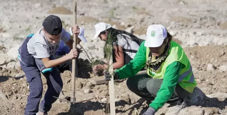 511 Hektar Doğa Yeniden Hayat Buluyor