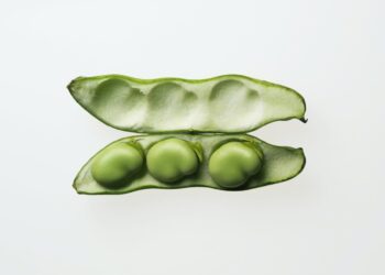 Minik Ama Güçlü: Fasulye Dünyayı Kurtarıyor