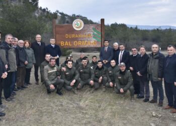 🍯 Türkiye’nin 827’nci Bal Ormanı Sinop’ta Hayata Geçti!