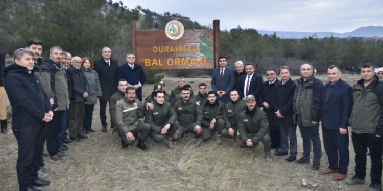 🍯 Türkiye’nin 827’nci Bal Ormanı Sinop’ta Hayata Geçti!