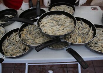 Hamsi Festivali’nde 5 ton hamsi ikram edildi