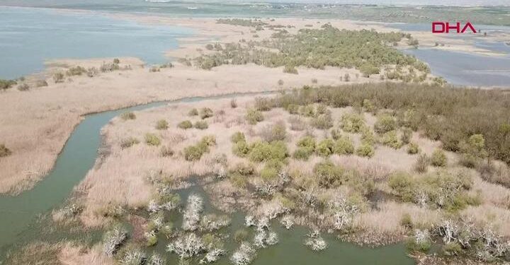Manyas Kuş Cenneti’nde tadilat bitti… Bayramda açılıyor!