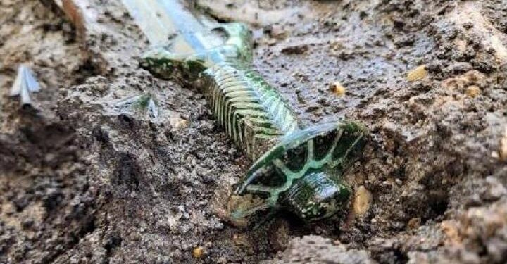 Almanya’da 3 bin yıllık bronz kılıç bulundu