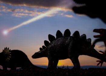 İngiltere’de “zırh derili” yeni dinozor türüne ait fosil keşfedildi