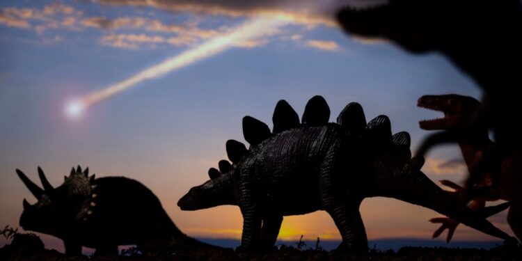 İngiltere’de “zırh derili” yeni dinozor türüne ait fosil keşfedildi