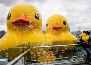 Dev ördek Hong Kong’a geri döndü