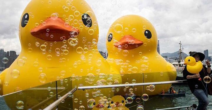 Dev ördek Hong Kong’a geri döndü