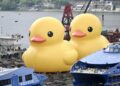 Dev plastik ördek, 10 yıl sonra yeniden Hong Kong’da: Bu kez ise tek başına değil!