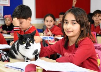 Minik öğrencilerin okulu sahipsiz Kartal’a yuva oldu