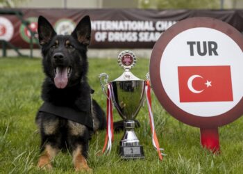 Uluslararası Narkotik Dedektör Köpekler Şampiyonası’nda Türkiye “Nobel” ile birinci oldu