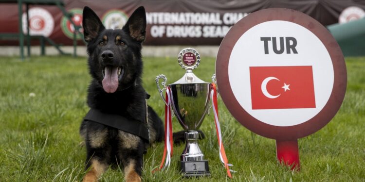 Uluslararası Narkotik Dedektör Köpekler Şampiyonası’nda Türkiye “Nobel” ile birinci oldu