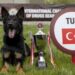 Uluslararası Narkotik Dedektör Köpekler Şampiyonası’nda Türkiye “Nobel” ile birinci oldu