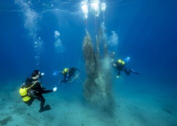 Yeşil Nobel ilk kez Türkiye’den bir isme verildi