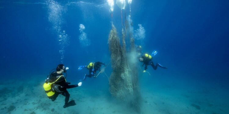 Yeşil Nobel ilk kez Türkiye’den bir isme verildi