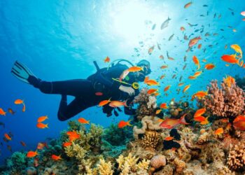 Galapagos Adaları’nda el değmemiş mercan resifi keşfedildi