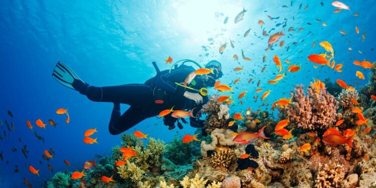 Galapagos Adaları’nda el değmemiş mercan resifi keşfedildi