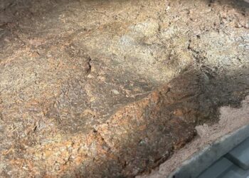 İznik Müzesi’nde 8 bin yıllık ayak izi