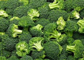 Bilim insanları bağırsakları koruyup hastalıkları engelleyen “süper gıda”yı buldu