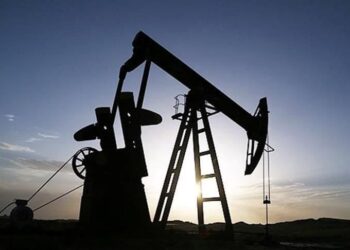 TPAO, petrol ve doğalgazdan elektrik üretebilecek