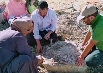 Mısır’da 70 milyon yıllık kaplumbağa fosili bulundu