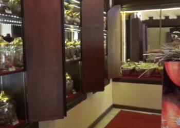 Hatay’ın Tıbbi ve Aromatik Bitkiler Müzesi