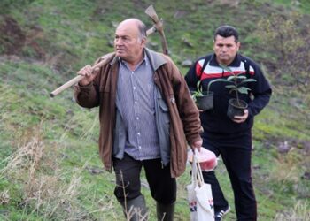 Spil Dağı’nda 40 yıldır gönüllü ağaçlandırma çalışmaları yapıyor