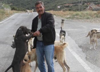 Emekli olunca kendisini sokak köpeklerine adadı