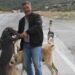 Emekli olunca kendisini sokak köpeklerine adadı
