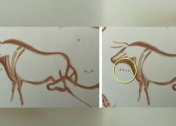 Buz Devri’nden kalma 20 bin yıllık mağara çizimlerinin sırrı çözüldü