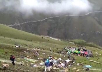 Peru’da ilginç araştırma! 27 yeni hayvan türü keşfedildi…