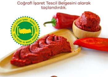 Hatay biber salçası coğrafi işaretle tescillendi