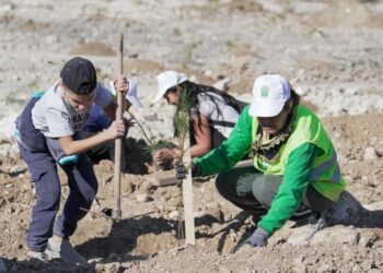 511 hektar doğaya kazandırılıyor