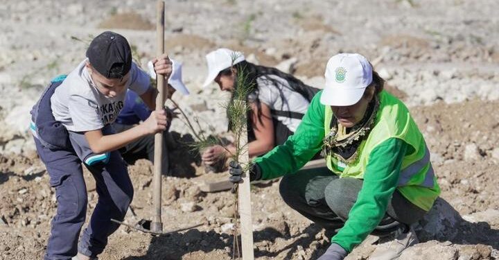 511 hektar doğaya kazandırılıyor