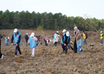Şile’de 100 bin ağaç dikimi yapıldı