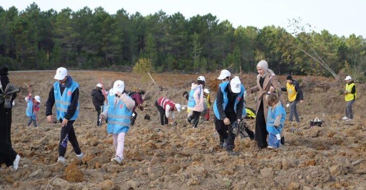 Şile’de 100 bin ağaç dikimi yapıldı