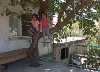 Baba yadigarı 45 yıllık dut ağacını kesmedi: Evinin balkonundan geçirdi