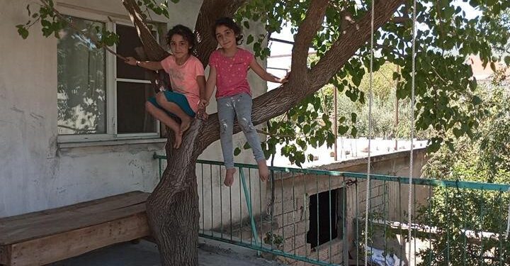 Baba yadigarı 45 yıllık dut ağacını kesmedi: Evinin balkonundan geçirdi