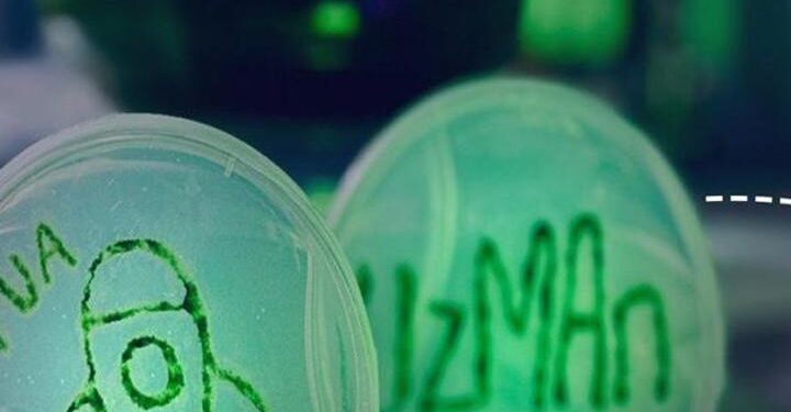 TUA duyurdu: Uluslararası Uzay İstasyonu’nda günün 2’nci deneyi