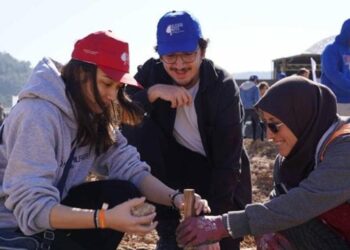 Milas’ta maden sahasında 2 bin fidan dikildi