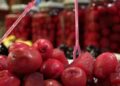 Balıkesir’de kırmızı zeytin üretildi