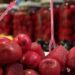 Balıkesir’de kırmızı zeytin üretildi