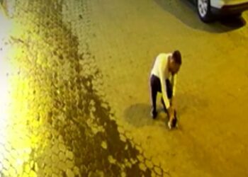 Soluk borusu tıkanan kediyi kurtardı