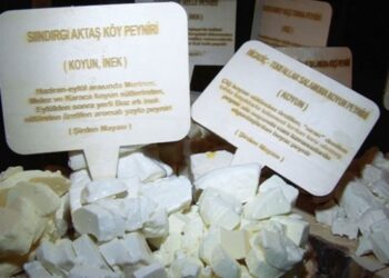 Balıkesir 50 çeşit peyniriyle tanıtıldı