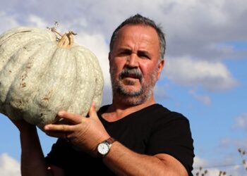 Karaağaç kabağı festivalle tanıtılacak