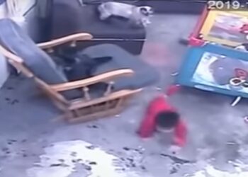 Kahraman kedi merdivenlerden düşmek üzere olan bebeği kurtardı