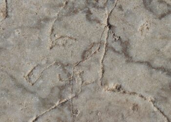 Denizli’deki Laodikya’da antik dönemin pinokyosu bulundu