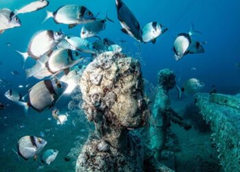 Side Sualtı Müzesi 50 bin ziyaretçi ağırladı