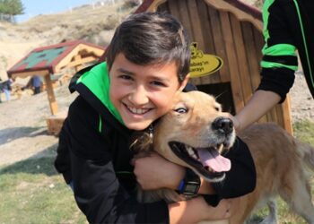 Kayseri’de hasta ve mağdur köpekler için Pati Köy açıldı