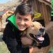 Kayseri’de hasta ve mağdur köpekler için Pati Köy açıldı